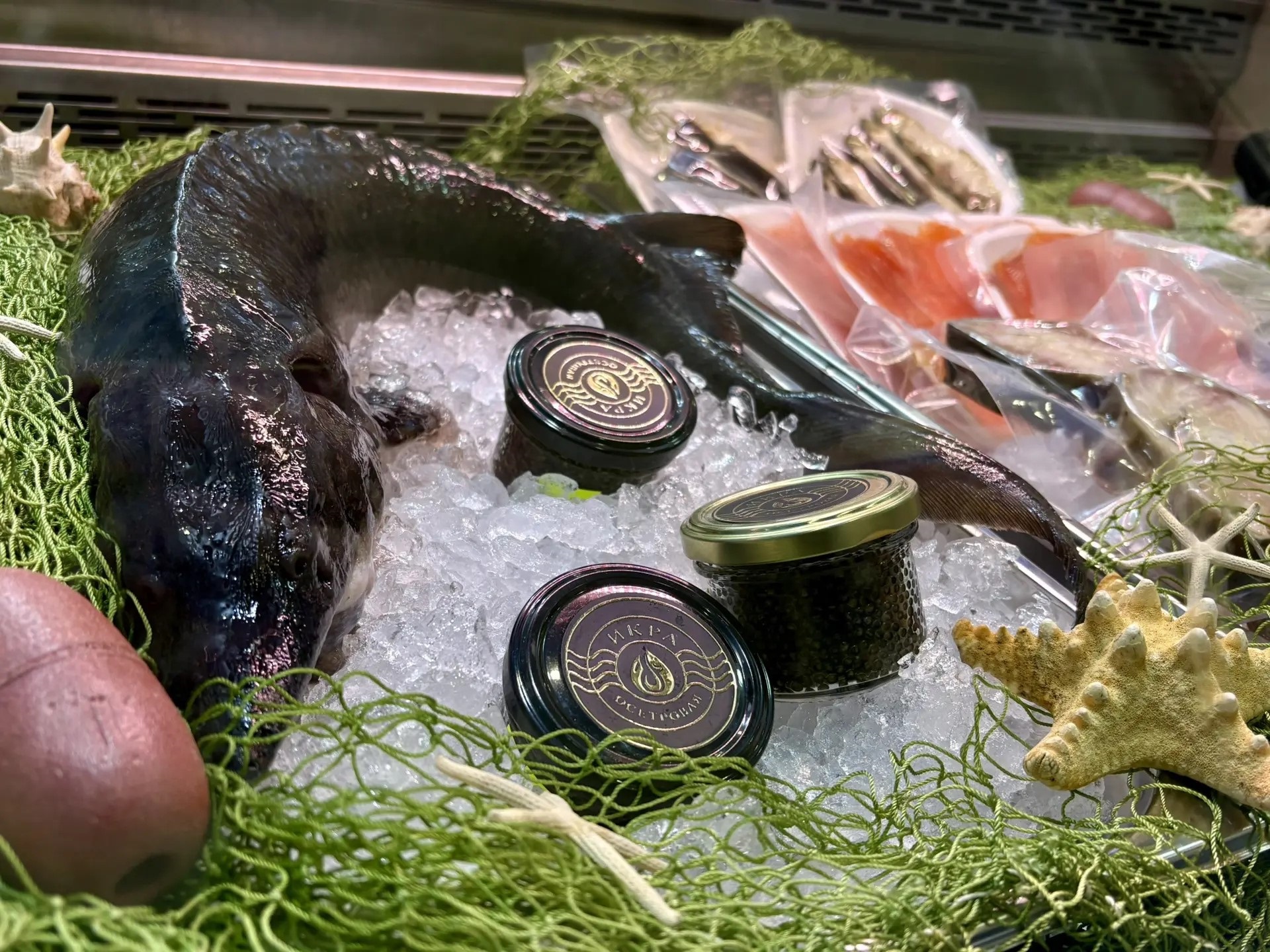 Seafood Expo Russia3