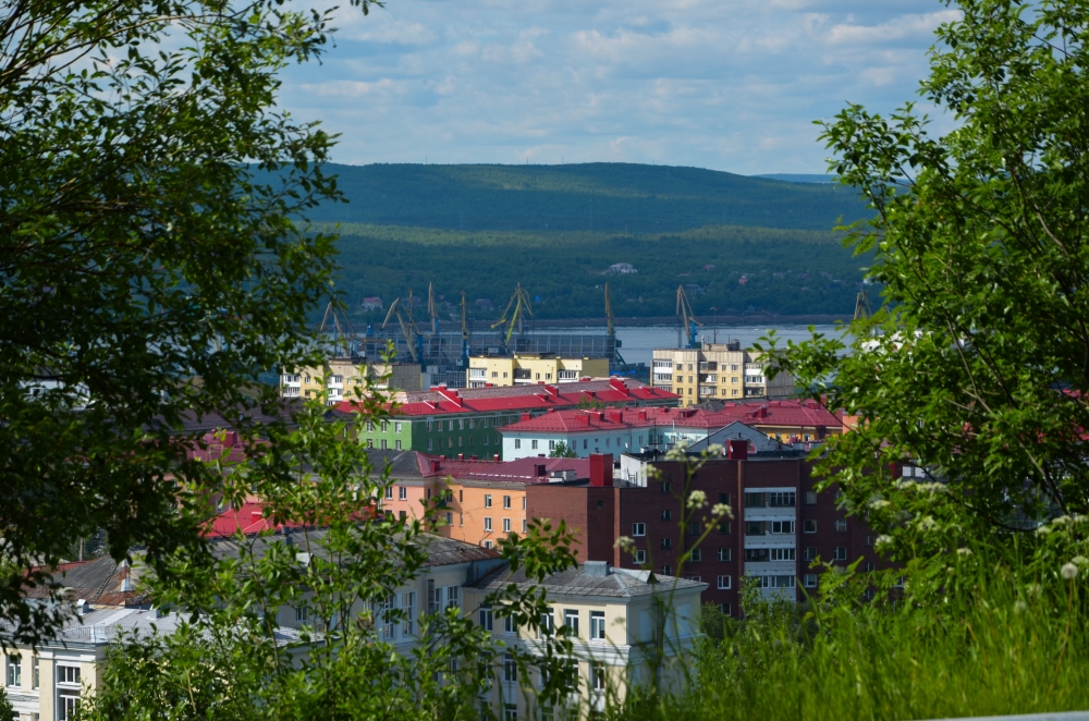 Мурик