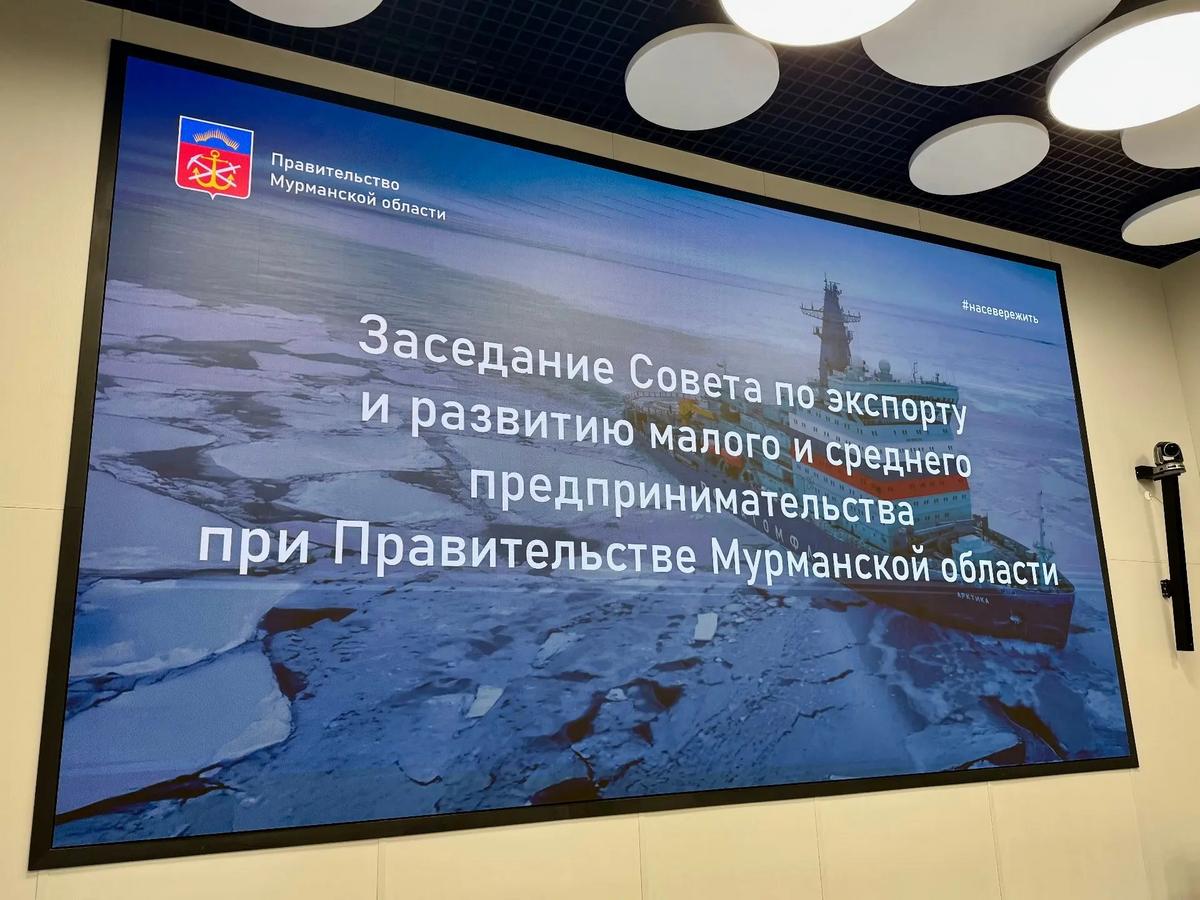 Развитие МСП2