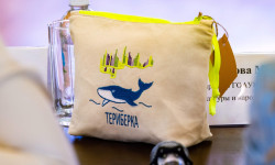 Северяне могут получить грант от областного правительства на реализацию проектов современного искусства и креативных индустрий