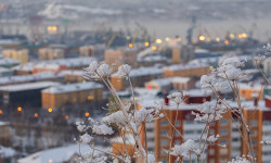 Деятельность инвестиционного уполномоченного города Мурманска