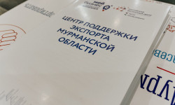 Заполярных экспортеров приглашают на первую онлайн-конференцию РЭЦ Export Online Creative