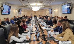 At an extended meeting of the relevant committee of the Federation Council, the proposals of Governor Andrei Chibis for the development of the Murmansk region were supported