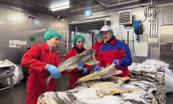 Сенатор РФ Елена Дягилева: Механизмы префрежимов и инвестквот в сочетании с планом «На Севере - жить!» обеспечивают устойчивость рыбной промышленности даже с учётом санкционного давления