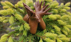 A guardian spirit, jewelry with lichen and amethyst, roe deer, and an exclusive wobbler – souvenirs from the Murmansk region were among the best in the country