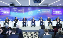 МАФ-2025. Светлана Панфилова: «Крупные игроки рынка контейнерных перевозок проявляют большой интерес к порту Мурманск»