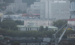 29 июня стартует прием заявок от самозанятых граждан города Мурманска на предоставление субсидий