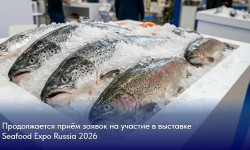 Продолжается приём заявок на участие в выставке Seafood Expo Russia 2026