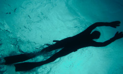 «Маркетплейс впечатлений»: турбизнес приглашают на новую цифровую платформу