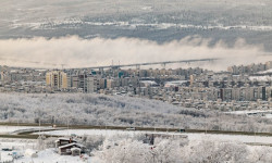 Представителей социального бизнеса приглашают к участию в опросе для подготовки изменений в законодательстве