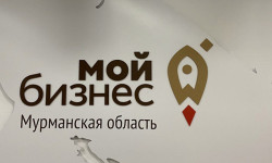 Стартовал прием заявок на предоставление субсидии субъектам малого и среднего предпринимательства, осуществляющим общественно значимую деятельность