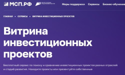 Предпринимателей и инвесторов региона приглашают принять участие в вебинаре по использованию сервиса «Витрина инвестиционных проектов»