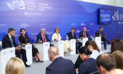 Сенатор РФ Елена Дягилева: Единый ТОР должен быть настроен как для капиталоёмких мегапроектов, так и для небольших предприятий
