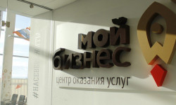 Заполярным предпринимателям доступна субсидия до 600 тыс. рублей на общественно значимую деятельность